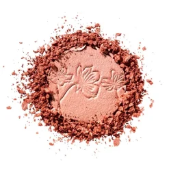 Catrice More Than Glow 40 Absolute Blushin' Bright Highlighter