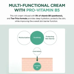 SKIN1004 Madagascar Centella Tea-Trica B5 Cream