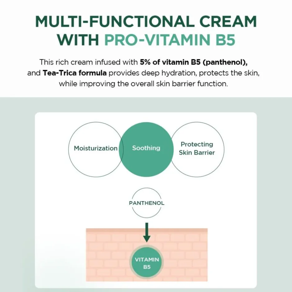 SKIN1004 Madagascar Centella Tea-Trica B5 Cream